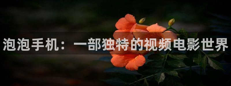 长安诺免费观看电视剧全集策驰影院