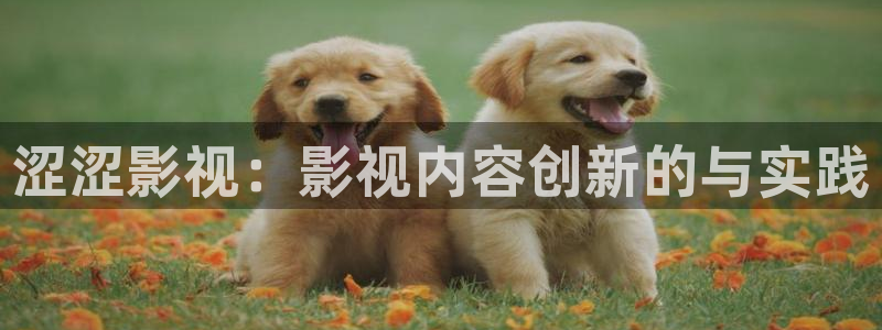 少帅电视剧策驰影院