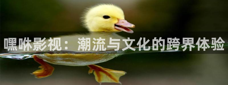 单亲妈妈电视剧免费观看策驰影院